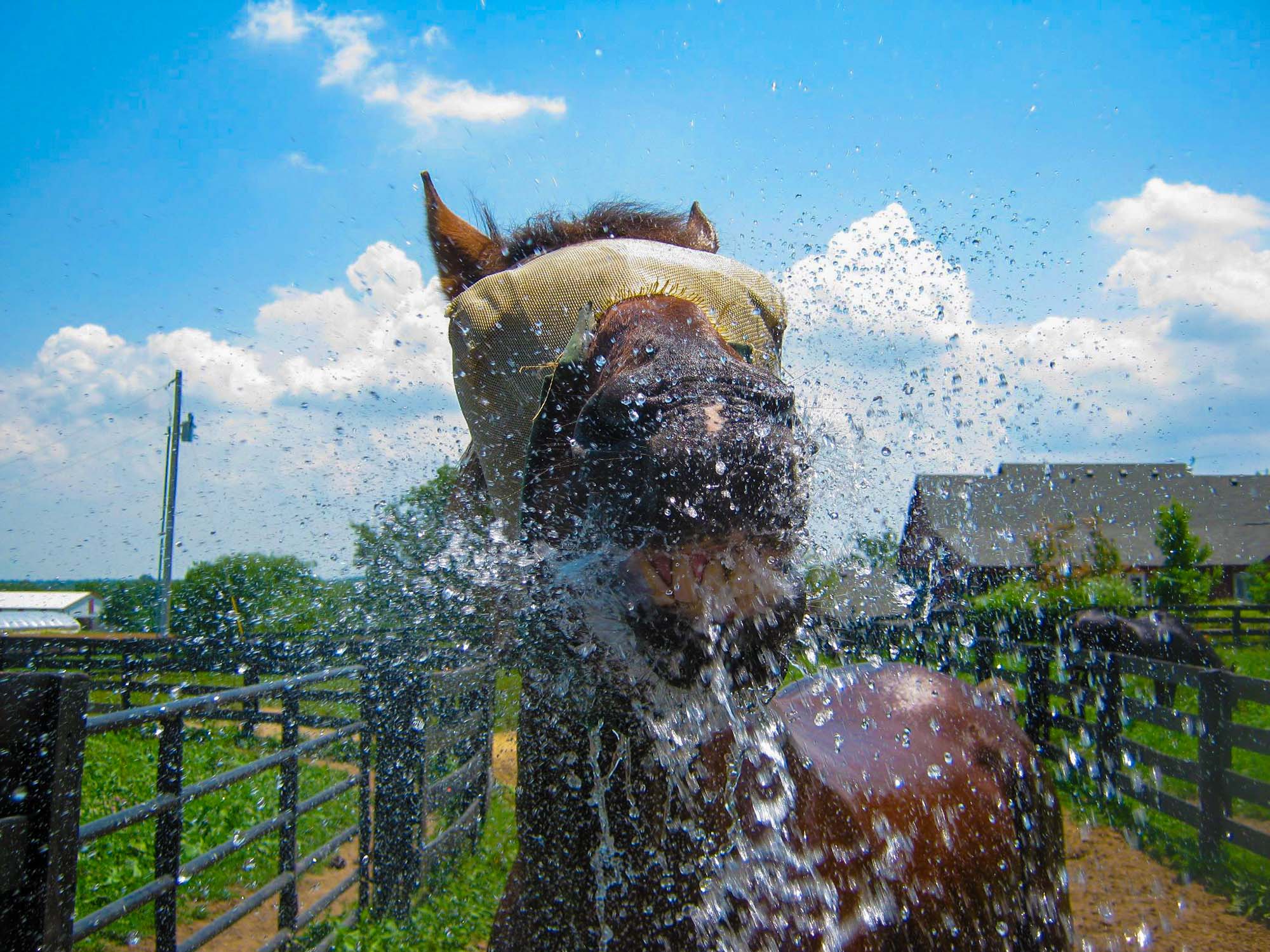 Playing with Water