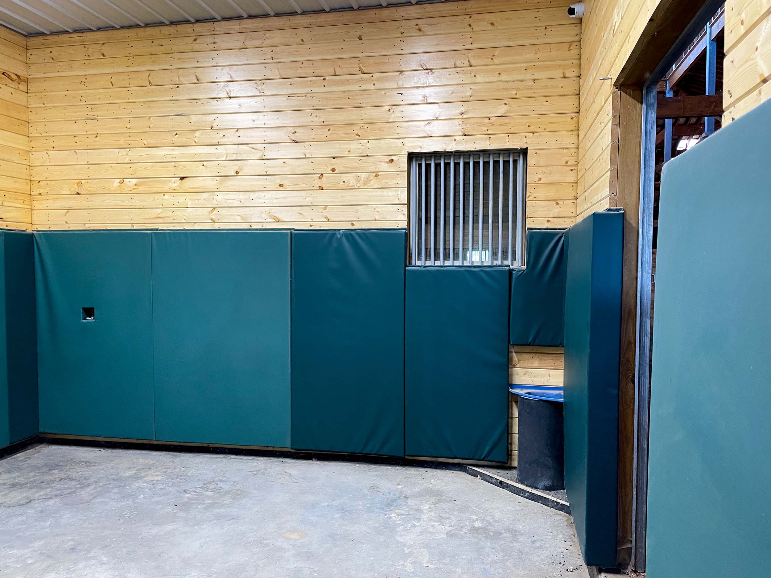 Horse Rehabilitation Room