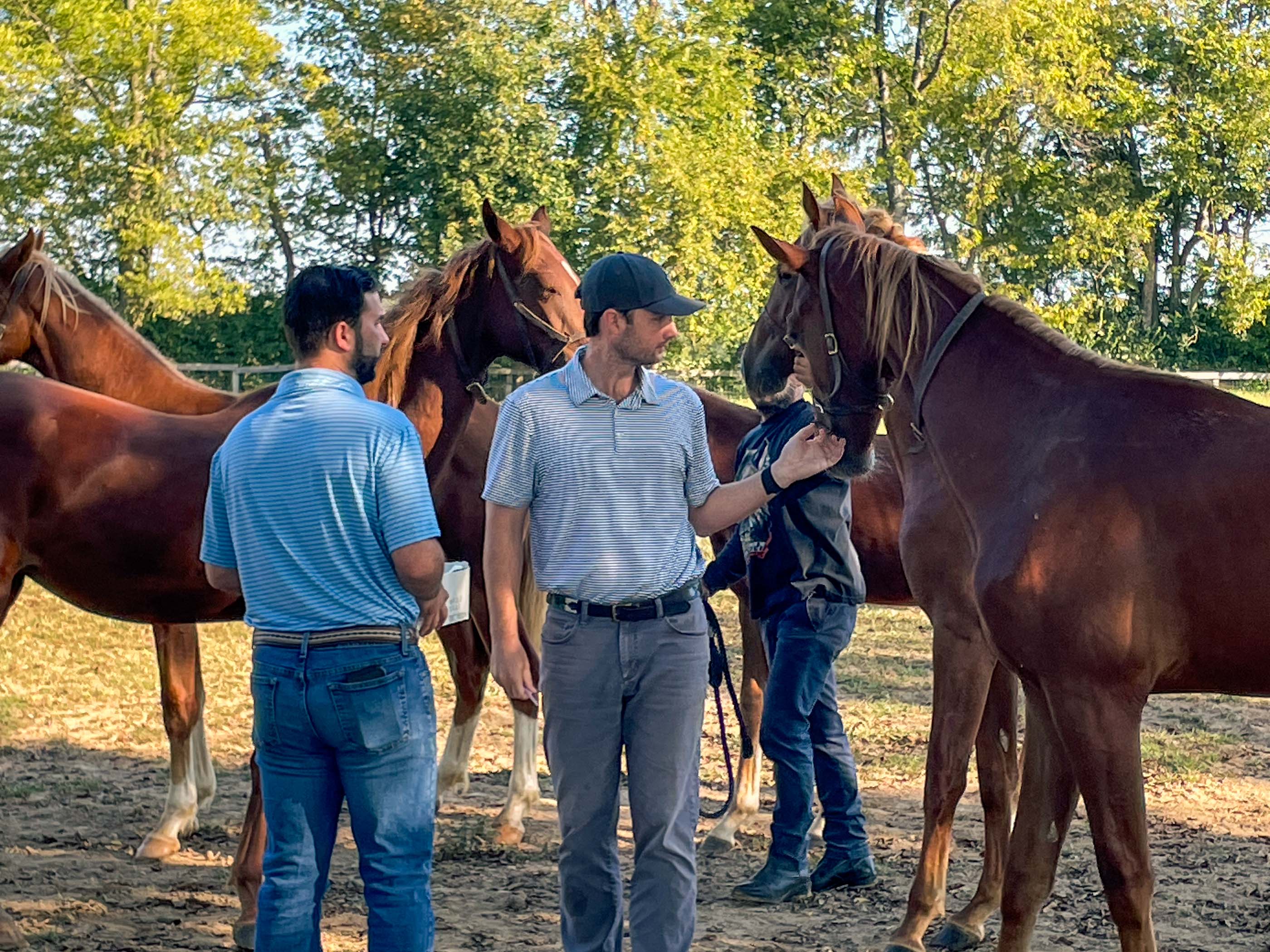 Vets in the Pasture