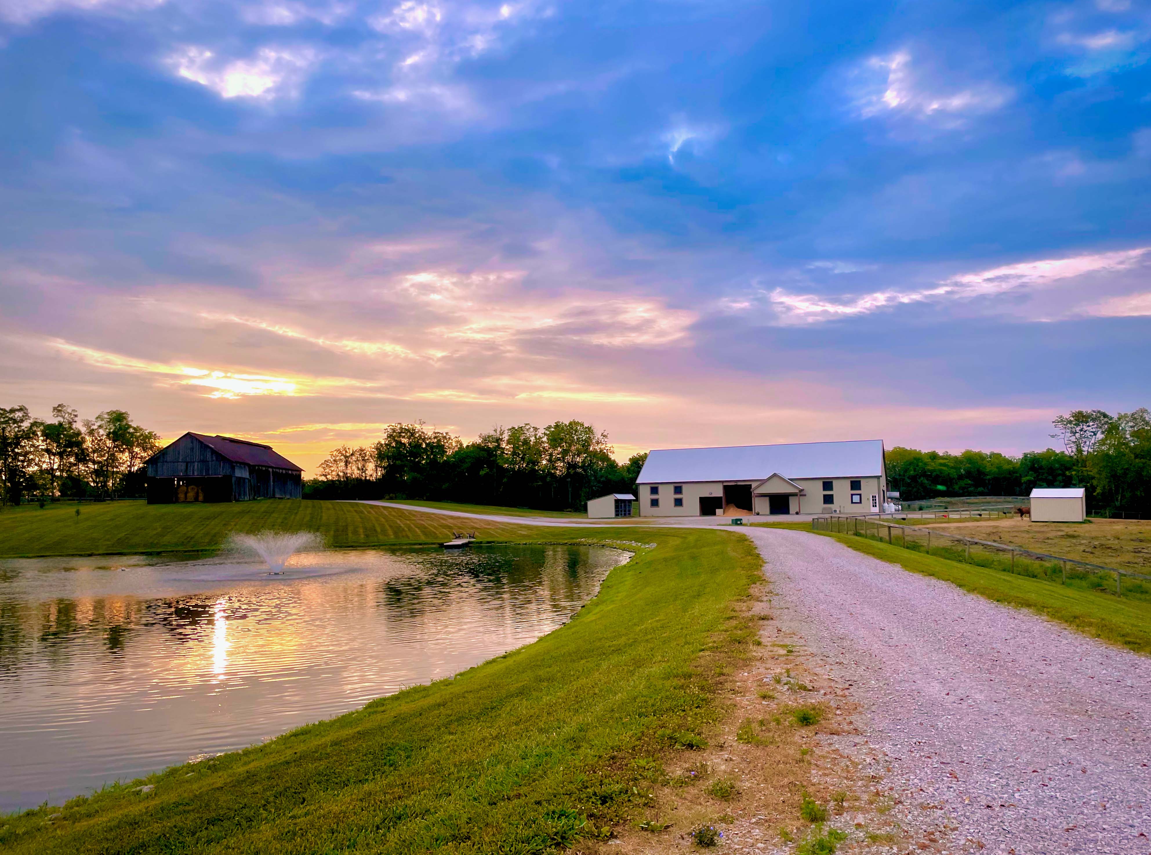 Stallion Barn